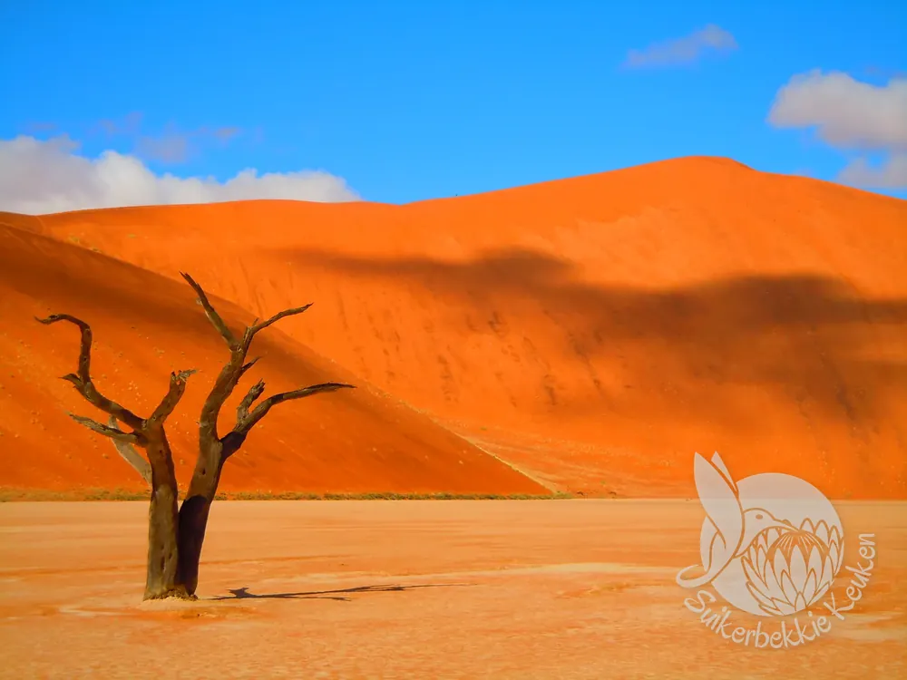 Een kale boom voor een torenhoge oranje duin, Sossusvlei (Namibië)